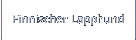 Finnischer Lapphund