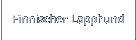 Finnischer Lapphund