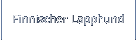 Finnischer Lapphund