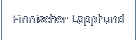 Finnischer Lapphund
